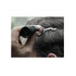 Just For Men Shampoo Colorante férfi hajszínező gél, sötétszőke H-15